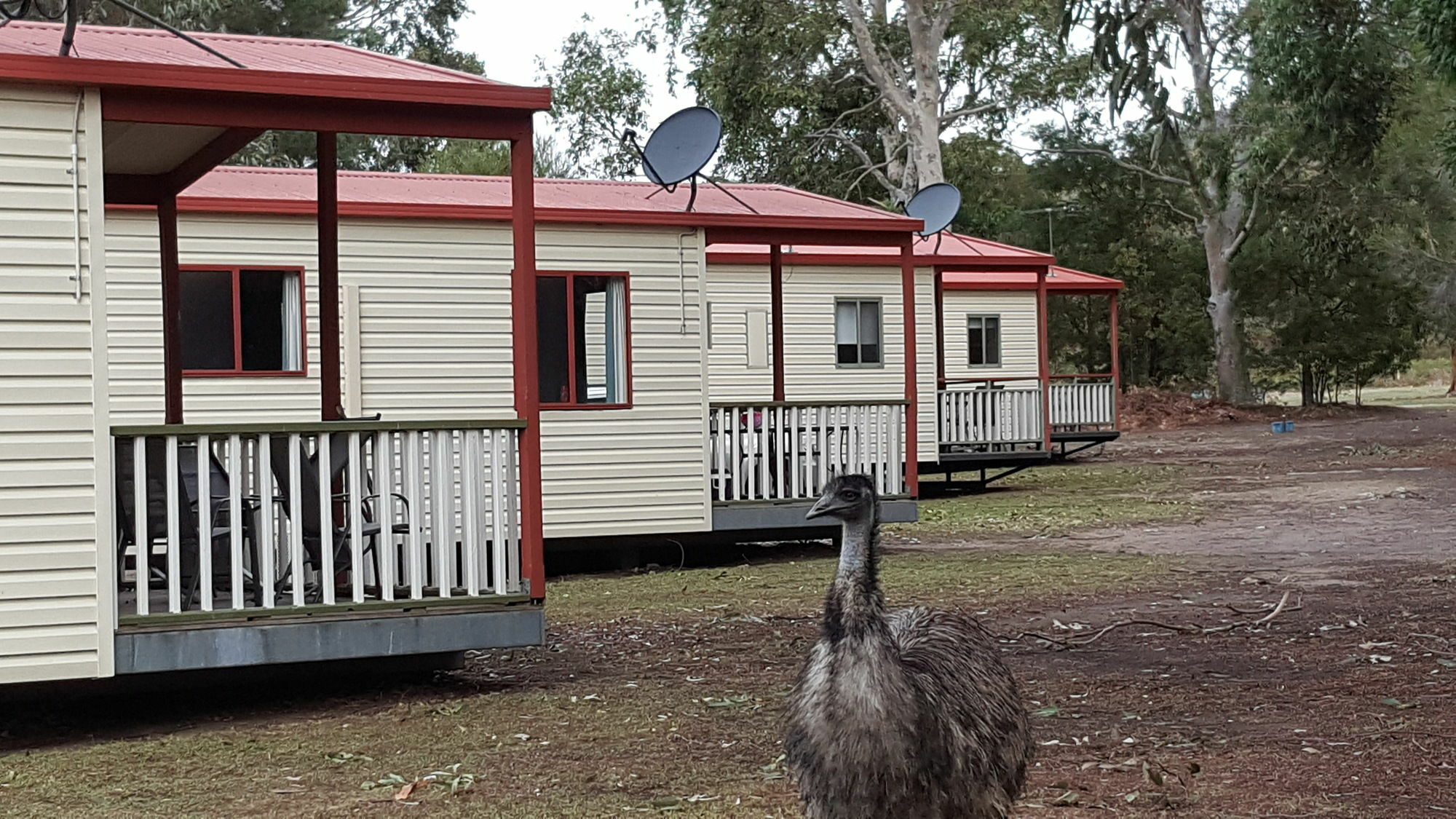 Breeze Holiday Parks - Grampians Halls Gap Εξωτερικό φωτογραφία